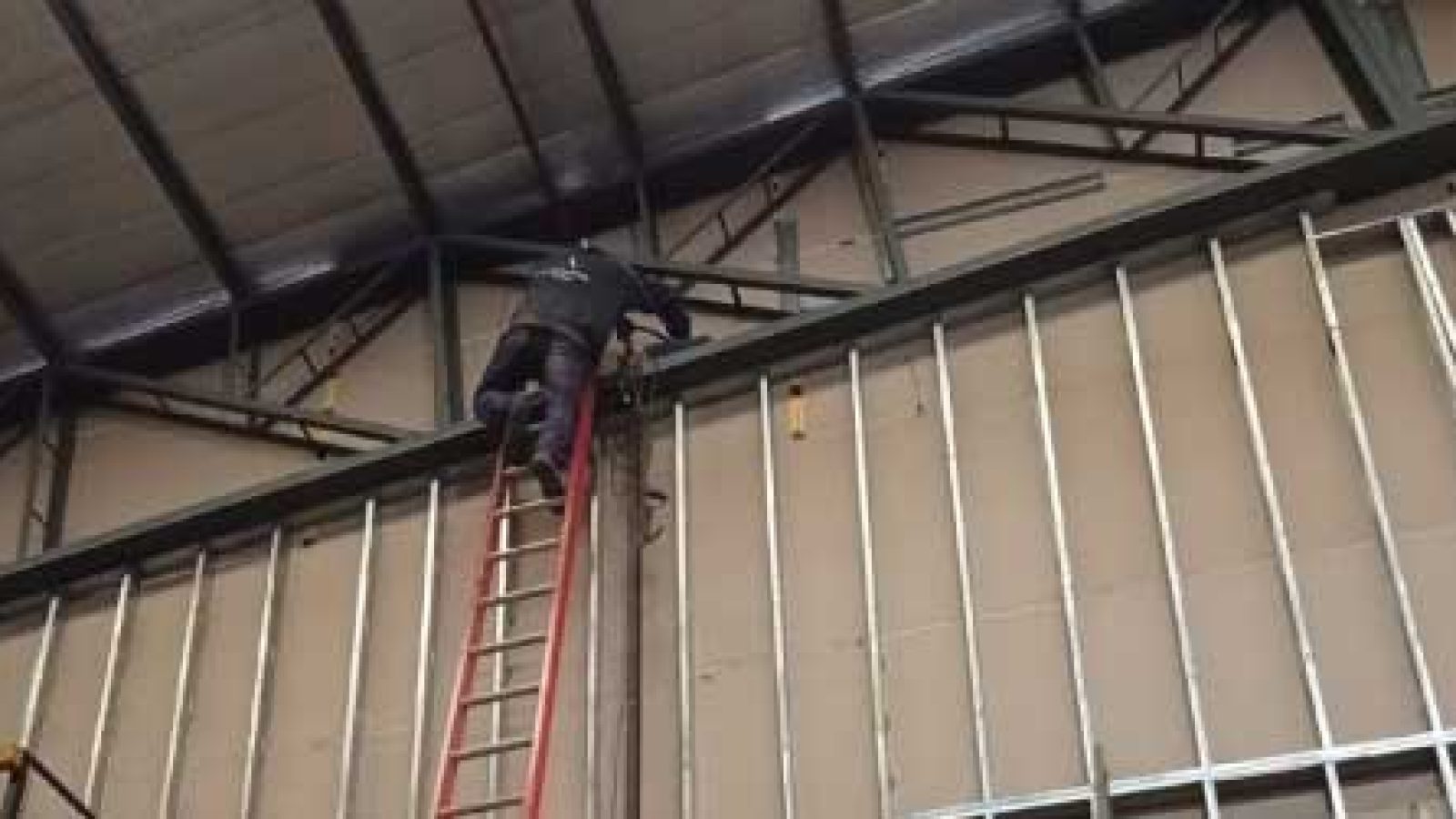 Galpon realizado con steelframe